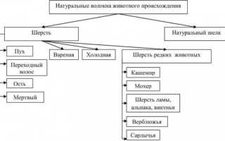 Полезные знания: Виды Волокон ткани животного происхождения.Шёлк,шерсть и другое:)