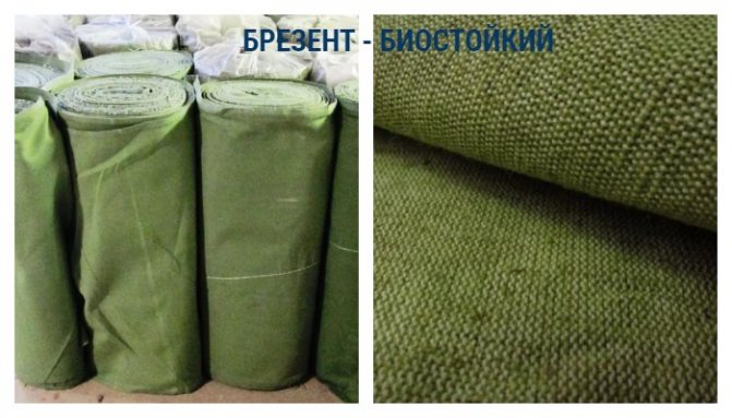 Брезент биостойкий